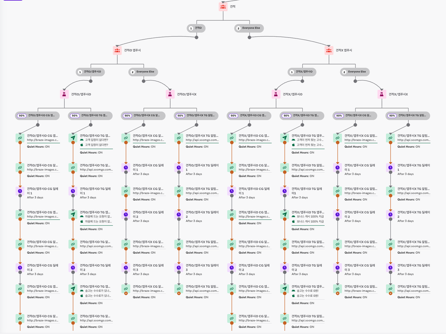 Braze Canvas에서 세그먼트별 메시지와 발송 시점을 분기한 운영 구조